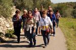 Diada de la Pau. Any 2016.