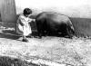Algaidins. Índex per llinatges. Balaguer Rotger, Jaume.