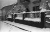 L´any de la neu, 1956. L´any de la neu.