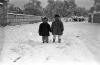 L´any de la neu, 1956. L´any de la neu.