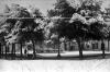 L´any de la neu, 1956. L´any de la neu.