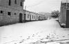 L´any de la neu, 1956. L´any de la neu.