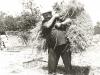 Algaidins. Índex per llinatges. Bibiloni Munar, Joan. ´Ros de s´arboçar`. Algaida, 1942.