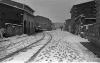 L´any de la neu, 1956. L´any de la neu.