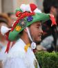 Cossiers. Festes de Sant Jaume 2008