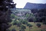 Titoieta Ràdio. (arxiu fotogràfic). Imatges d´Algaida 2001. Fotos de Jerònia Pou i Catia Perelló.