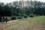 Titoieta Ràdio. (arxiu fotogràfic). Imatges d´Algaida 2001. Fotos de Jerònia Pou i Catia Perelló.