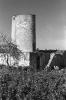 Molins de Farina. Molí d´en Pau.