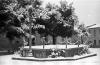 L´any de la neu, 1956. L´any de la neu.
