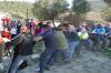 Diada de la Pau. Any 2015.