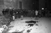 Societat. Homenatge als ´´Caídos``. 19 novembre 1973.
