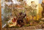 Betlems. Betlem de Rafel Trobat ´Pau´ 2024