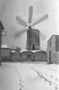 L´any de la neu, 1956. L´any de la neu.